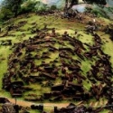 Heran Bila Masih Ada Saja yang Meributkan Penelitian Gunung Padang