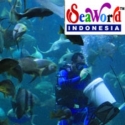 Seaworld Ngarep Segera Beroperasi