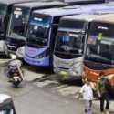 Kemenhub Kok Lelet Berikan Data Bus Yang Mainkan Tarif