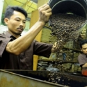 Akibat Kemarau, Tahun Depan Produksi Kopi Diprediksi Melorot Lagi