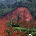 Longsor Banjarnegara Tewaskan 20 Orang, 88 Masih Dicari