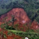Longsor Banjarnegara Jadi Alarm Waspada Daerah Lain