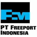 Pemerintah Semakin Tak Berdaya Menghadapi Freeport