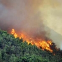 Ini Langkah Pemerintah Antisipasi Kebakaran Hutan dan Lahan di Riau