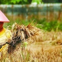 Parlemen Indonesia Sepakati Isu Ketahanan Pangan dalam Forum Konferensi Parlemen WTO