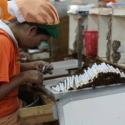 Cukai Melejit, Industri Rokok Makin Tertekan