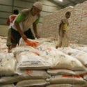 Lonjakan Harga Beras Menambah Susah Rakyat