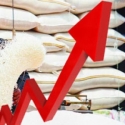 Kenaikan Harga Beras Bikin Buruh Sesak Napas Lagi