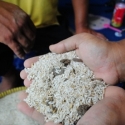 Harga Beras Turun Karena Dicampur Kualitas Jelek