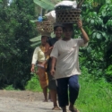 Hutan Desa harus Dikelola dengan Berorientasi Ekonomi Lingkungan