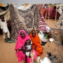 Konflik Terus Verlanjut, Hampir Setengah Juta Penduduk Darfur Angkat Kaki Tahun Lalu