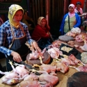 Beras Mahal, Permintaan Daging Ayam Merosot