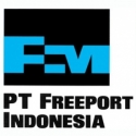 Freeport Belum juga Bangun Smelter, Saat yang Tepat bagi Indonesia Putus Kontrak