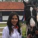 Atlet Equinara Incar Hattrick di Dressage
