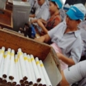 Faktanya, Riset Industri Rokok Lebih Banyak Demi Kepentingan Asing