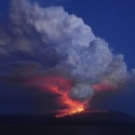 Letusan Gunung Serigala Beresiko Rusak Ekosistem Galapagos