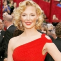 Katherine Heigl, Grey's Anatomy Mengubah Jalan Hidup