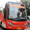 IKAPPI Mohan Maaf Hanya Bisa Angkut 480 Pedagang Mudik Gratis