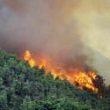 Pengaruh El Nino, Sumatera dan Kalimantan Rawan Kebakaran