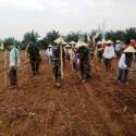 Kodim Singkawang Ikut Sukseskan Swasembada Kedelai