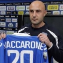 Maccarone Penjinak Zebra Kecil