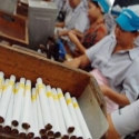 Fuad Geram Industri Tembakau Terus Diganggu