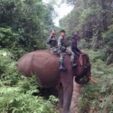 Prajurit TNI Patroli Kebakaran dengan Naik Gajah