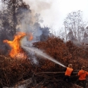 Rp 500 Miliar Sudah Habis Digunakan untuk Padamkan Kebakaran Hutan