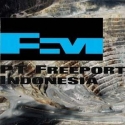 Jokowi Perlu Pertegas Tim Renegosiasi Kontrak Freeport
