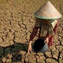 FAO: Perubahan Iklim Perparah Sektor Pangan 3 Dekade Terakhir