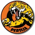 Jelang HUT Ke-87, Persija Bersiap Cari Ketum Baru