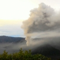 Gunung Bromo Erupsi, BNPB Minta Warga Tetap Tenang