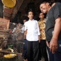 Borong Burung di Pasar Pramuka, Jokowi Dukung Kejahatan Perdagangan Ilegal Satwa Liar