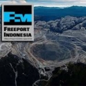 KAMMI: Penawaran Divestasi Freeport Bikin Repot
