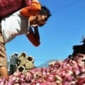 RR Kepret Importir Pangan Merangkap Produsen