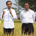 DPR: Mentan Telah Kerja Keras Tingkatkan Produksi Pertanian