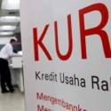 KUR Harus Disalurkan Pada Sektor Yang Lebih Produktif