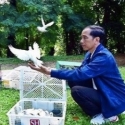 Cara Jokowi Malah Bisa Meningkatkan Permintaan Burung