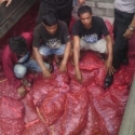 35 Ton Bawang Selundupan Asal Malaysia Diamankan Di Dumai