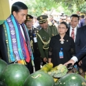 Jokowi Beli Pisang Dan Ubi Di Timor Leste