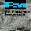 Pemerintah Tidak Perlu Buru-buru Terima Tawaran Freeport