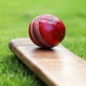 Pertama Kali, Liga Cricket Mahasiswa Digelar Di Indonesia