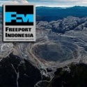 Hasil Survei Ini Jadi Tamparan Bagi Freeport