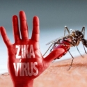 Kemenkes Bantah Virus Zika Sudah Mewabah