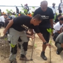 Wartawan ASEAN Tanam Mangrove Di Bali