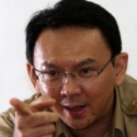 Ahok Diminta Tak Kirim Orang Utan Ke Korea Utara