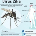 Belum Ada Penderita Serius Akibat Virus Zika