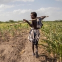 Kekeringan Parah, 36 Juta Warga Afrika Hadapi Kelaparan