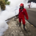 Guru Dan Orangtua Siswa Resah, Belum Ada Fogging Usir Demam Berdarah