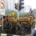 Kulit Kabel Sudah Menggunung, Tingginya Sampai Tiga Meter